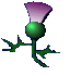 thistle4b.gif (1947 bytes)